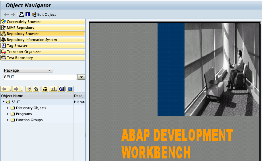 Access the object browser in sap - se80